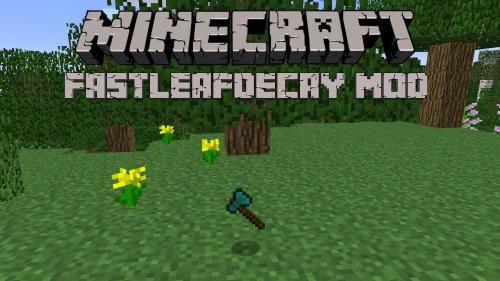 Fast Leaf Decay poster