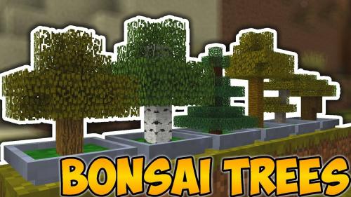 Bonsai Trees 2 poster