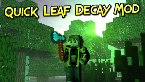 Quick Leaf Decay poster