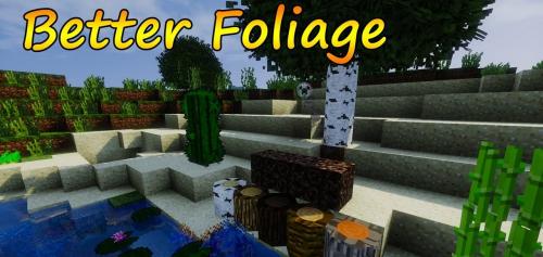 Better Foliage poster