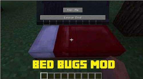 Bed Bugs poster