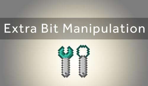 Extra Bit Manipulation poster