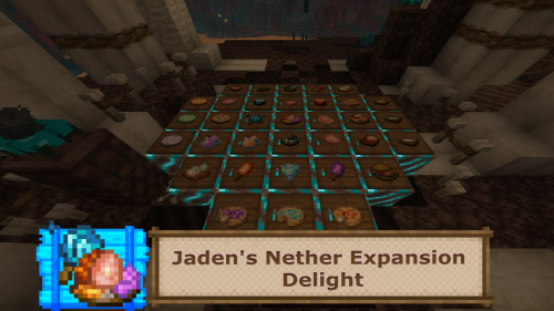 Jaden’s Nether Expansion Delight poster